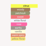 Flirtedor-EDP-100ml - Image 6